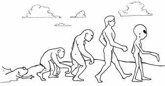 creationism evolution